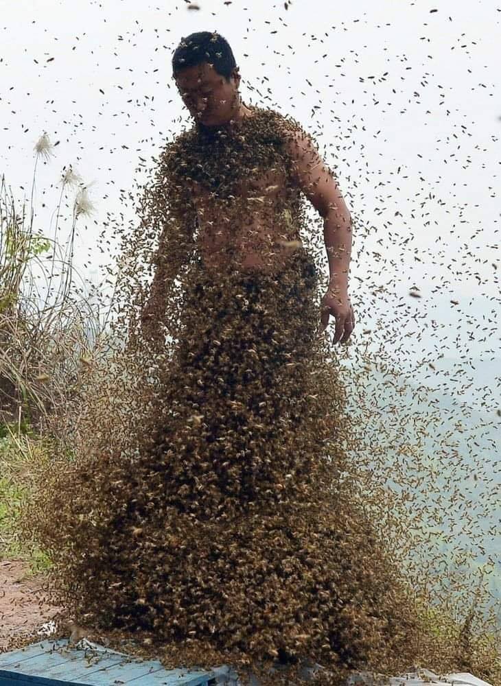 The meme is an image of a person covered in bees, with a caption that reads "I'm not arguing, I'm just explaining why I'm right". The image is humorous because it exaggerates the idea of being "stung" by someone else's opinions, with the person being literally covered in bees to represent the overwhelming nature of the argument.